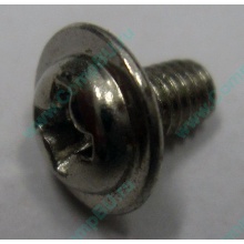 Компьютерный винт "малый" PW-M3x6mm (Курган)