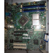 Материнская плата Intel Server Board S3200SH s.775 (Курган)
