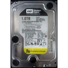 НЕРАБОЧИЙ жесткий диск 1Tb WD RE3 WD1002FBYS (Курган)