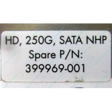 HP 250G 7.2k 432337-001/ 399699-001 / 397377-004 SATA HDD (Курган)