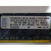 IBM 73P2871 73P2867 2Gb (2048Mb) DDR2 ECC Reg memory (Курган)