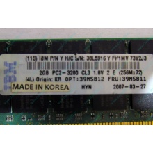 IBM 39M5811 39M5812 2Gb (2048Mb) DDR2 ECC Reg memory (Курган)