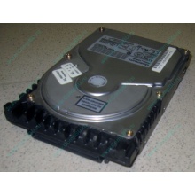 Жесткий диск 18.4Gb Quantum Atlas 10K III U160 SCSI (Курган)