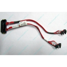 SATA-кабель для корзины HDD HP 451782-001 459190-001 для HP ML310 G5 (Курган)