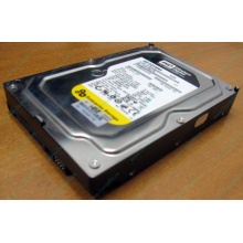 Жесткий диск 160Gb WD WD1602ABKS SATA (Курган)