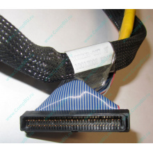 Кабель SCSI HP 166298-037 для HP ML370 G4 (Курган)