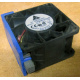 Вентилятор TFB0612GHE для корпусов Intel SR2300 / SR2400 (Курган)