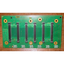 Плата корзины на 6 HDD SCSI FRU 59P5159 для IBM xSeries (Курган)