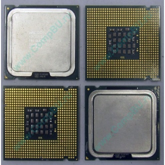 Процессоры Intel Pentium-4 506 (2.66GHz /1Mb /533MHz) SL8J8 s.775 (Курган)