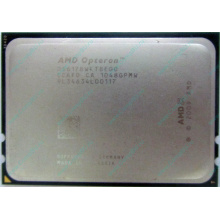AMD Opteron 6128 OS6128WKT8EGO (Курган)