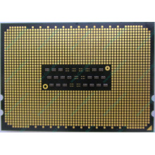 AMD Opteron 6128 OS6128WKT8EGO (Курган)