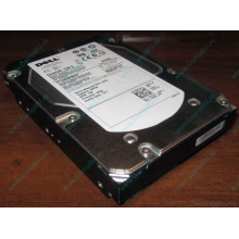 Жесткий диск 300Gb 15k Dell 9CH066-050 6G SAS (Seagate Cheetach ST3300656SS 15K.6) - Курган