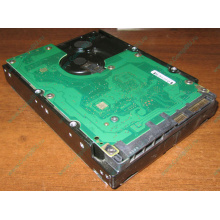 Жесткий диск 300Gb 15k Dell 9CH066-050 6G SAS (Seagate Cheetach ST3300656SS 15K.6) - Курган